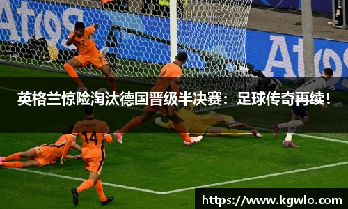 NG体育官方网站