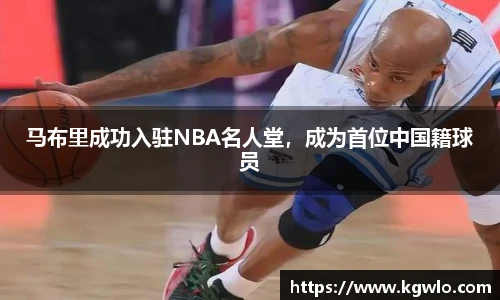 NG体育官方网站